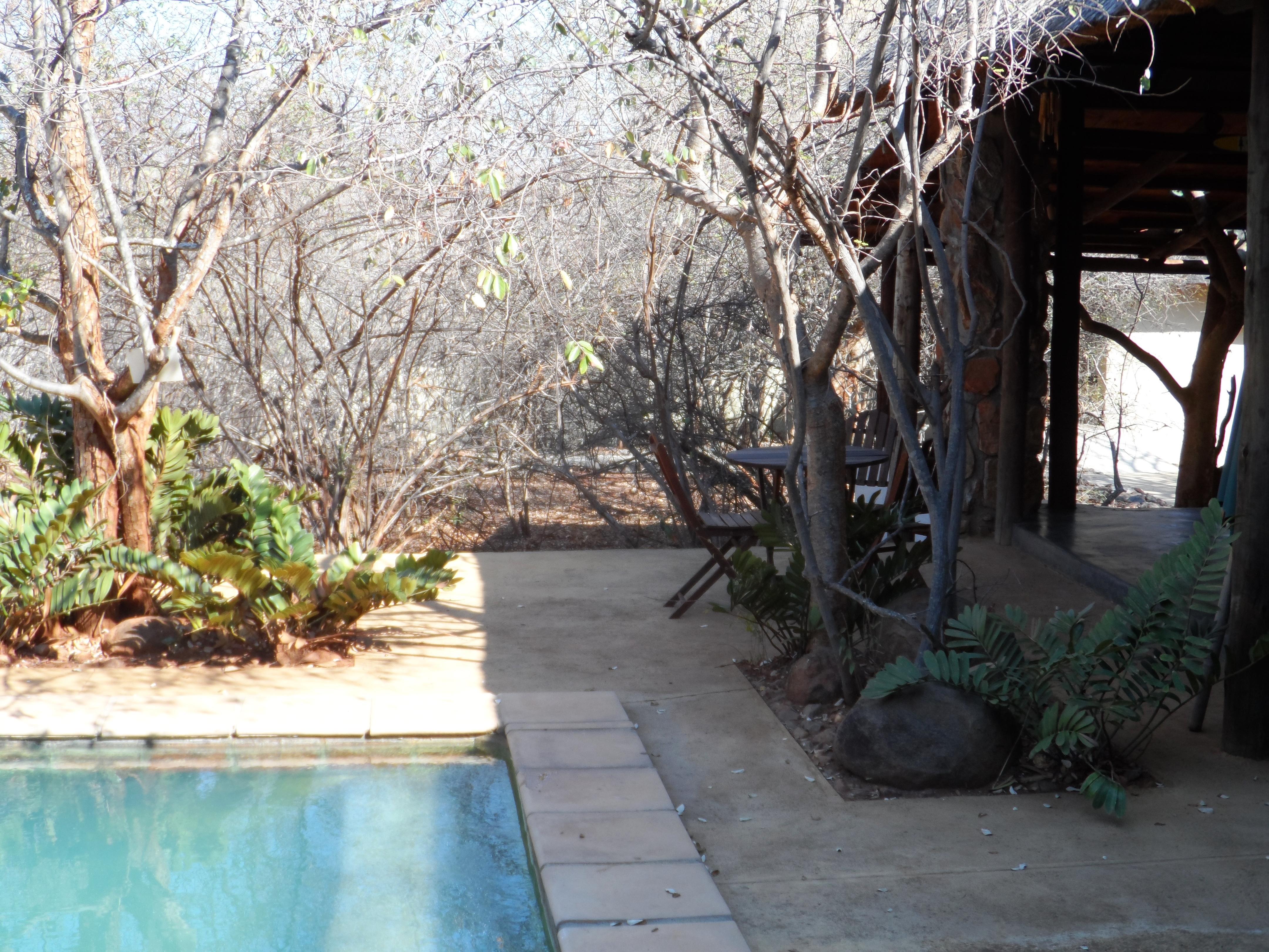 Shikwari Nature Reserve Hoedspruit Exterior photo