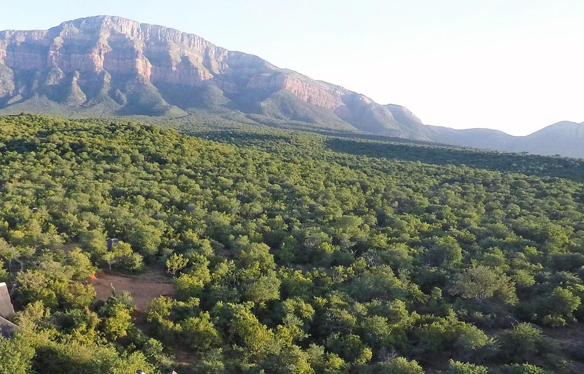 Shikwari Nature Reserve Hoedspruit Exterior photo
